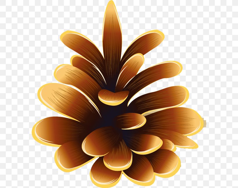 Sunflower M, PNG, 602x646px, Sunflower M, Daisy Family, Flower, Petal, Sunflower Download Free