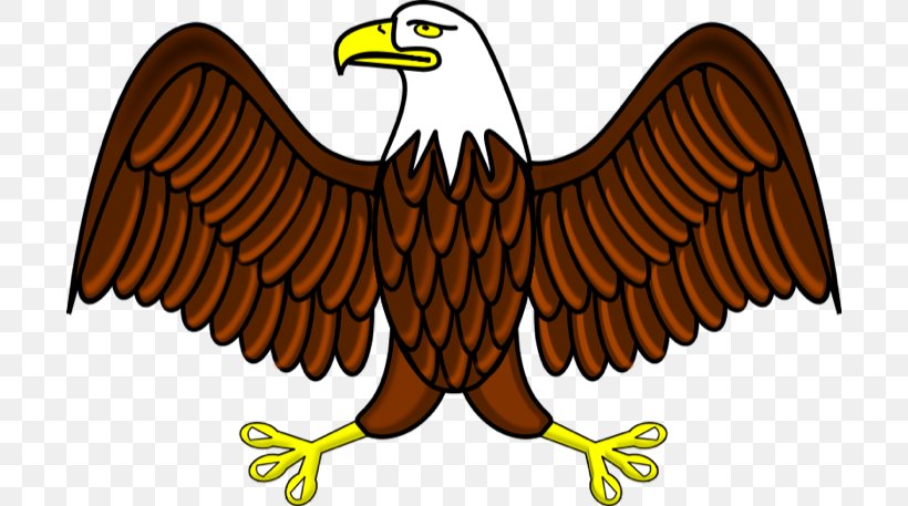 Bald Eagle Philippine Eagle Free Content Clip Art, PNG, 700x457px, Eagle, Accipitriformes, Animal Figure, Animation, Bald Eagle Download Free