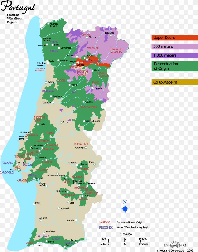 Portuguese Wine Common Grape Vine Alentejo Wine Region Map, PNG, 2486x3158px, Portuguese Wine, Alentejo, Area, Common Grape Vine, Ecoregion Download Free