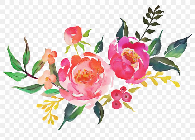 Watercolor Pink Flowers, PNG, 1024x739px, Watercolor Painting, Camellia, Chinese Peony, Common Peony, Cut Flowers Download Free