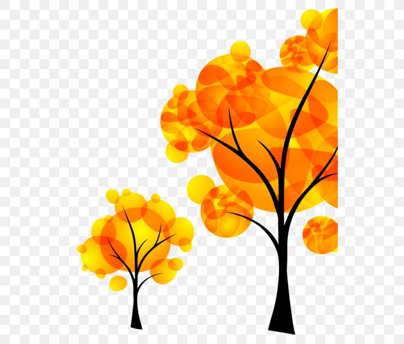 Autumn Tree Clip Art, PNG, 564x699px, Autumn, Arbor Day, Branch, Cut Flowers, Flower Download Free