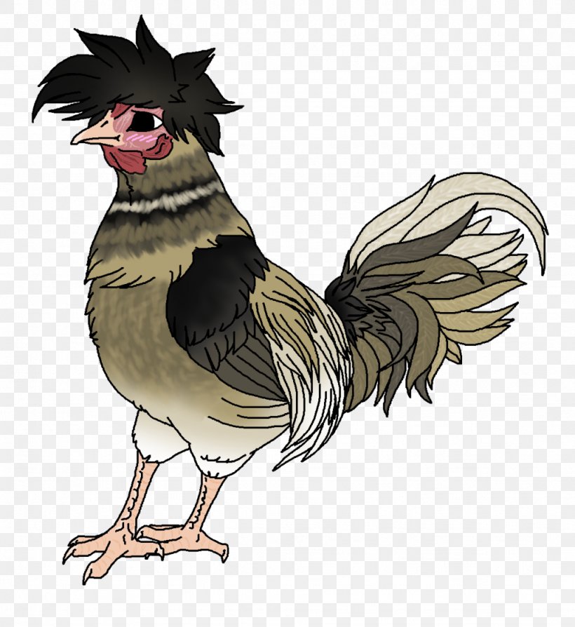 Chicken Bird Phasianidae Fowl Poultry, PNG, 1024x1117px, Chicken, Animal, Art, Beak, Bird Download Free