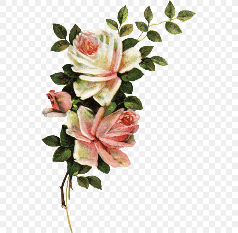 Garden Roses Floral Design Cut Flowers Flower Bouquet, PNG, 534x800px, Garden Roses, Artificial Flower, Bud, Cut Flowers, Floral Design Download Free