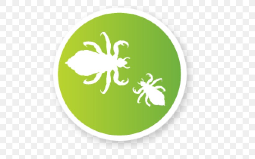 Head Louse Primate Body Lice Insect Logo, PNG, 512x512px, Louse, Butterfly, Child, Food Coloring, Green Download Free