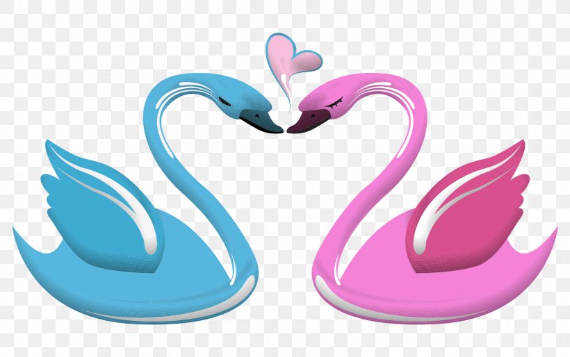 Lovebird Lovebird Black Swan Heart, PNG, 1685x1057px, Bird, Animal, Animation, Black Swan, Body Jewelry Download Free
