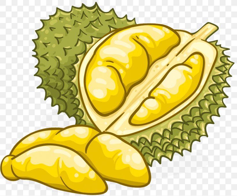 Fruit Durian Starfruit Plant Starfruit Natural Foods, PNG, 1640x1362px, Fruit, Artocarpus, Durian, Food, Natural Foods Download Free