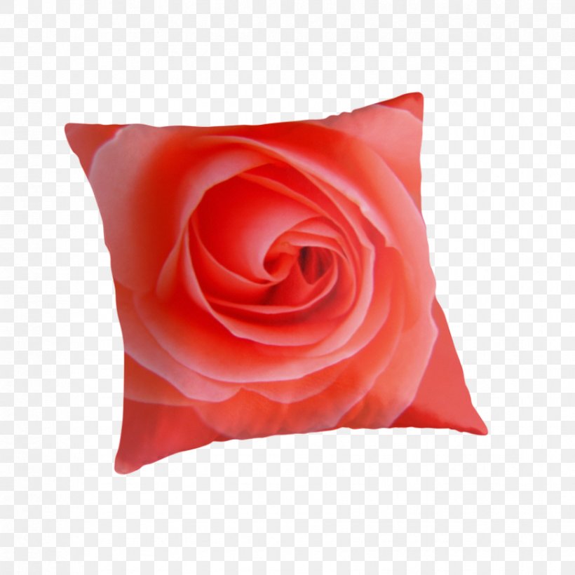 Garden Roses Throw Pillows Cushion Cut Flowers, PNG, 875x875px, Garden Roses, Cushion, Cut Flowers, Flower, Garden Download Free