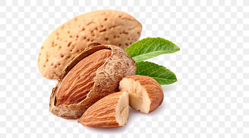 Nut Cashew Almond Dried Fruit Food, PNG, 600x455px, Nut, Almond, Cashew, Commodity, Dried Fruit Download Free
