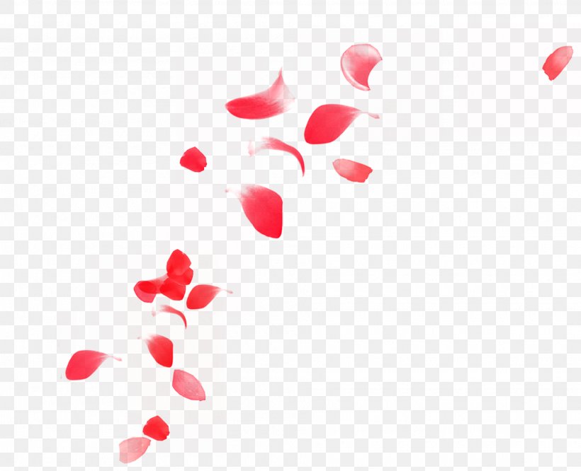 Petal Euclidean Vector, PNG, 1925x1565px, Petal, Advertising, Fundal, Gratis, Heart Download Free