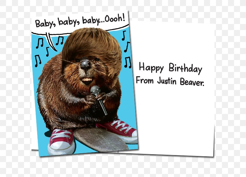 Recycled Paper Greetings Greeting & Note Cards Snout Showcase Font, PNG, 610x590px, Greeting Note Cards, Beaver, Photo Caption, Showcase, Showcase Cinemas Download Free