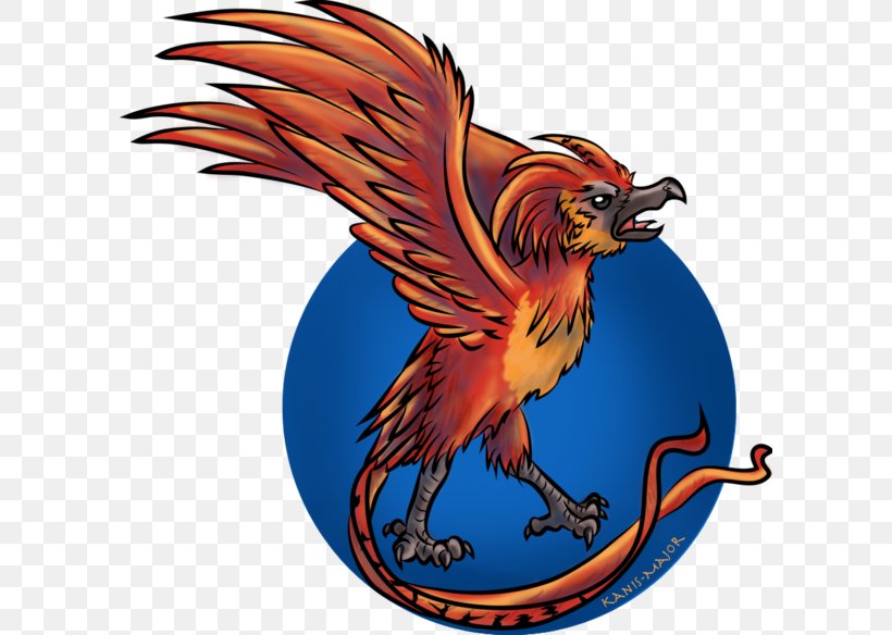 Fawkes Phoenix Drawing Digital Art, PNG, 600x584px, Fawkes, Art, Beak, Bird, Bird Of Prey Download Free