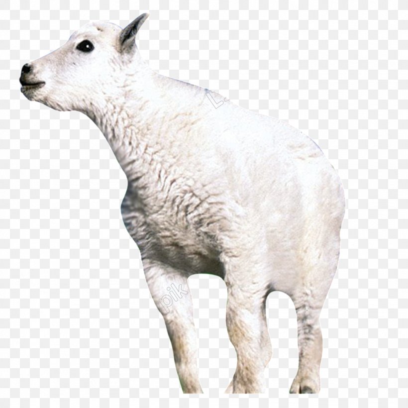 Sheep Image Goat Download, PNG, 1024x1024px, 1000000, Sheep, Animal, Animal Figure, Cartoon Download Free