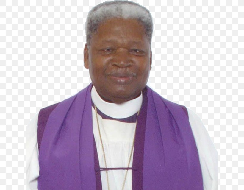 Auxiliary Bishop Preacher Purple Nuncio, PNG, 644x638px, Auxiliary Bishop, Bishop, Clergy, Elder, Nuncio Download Free