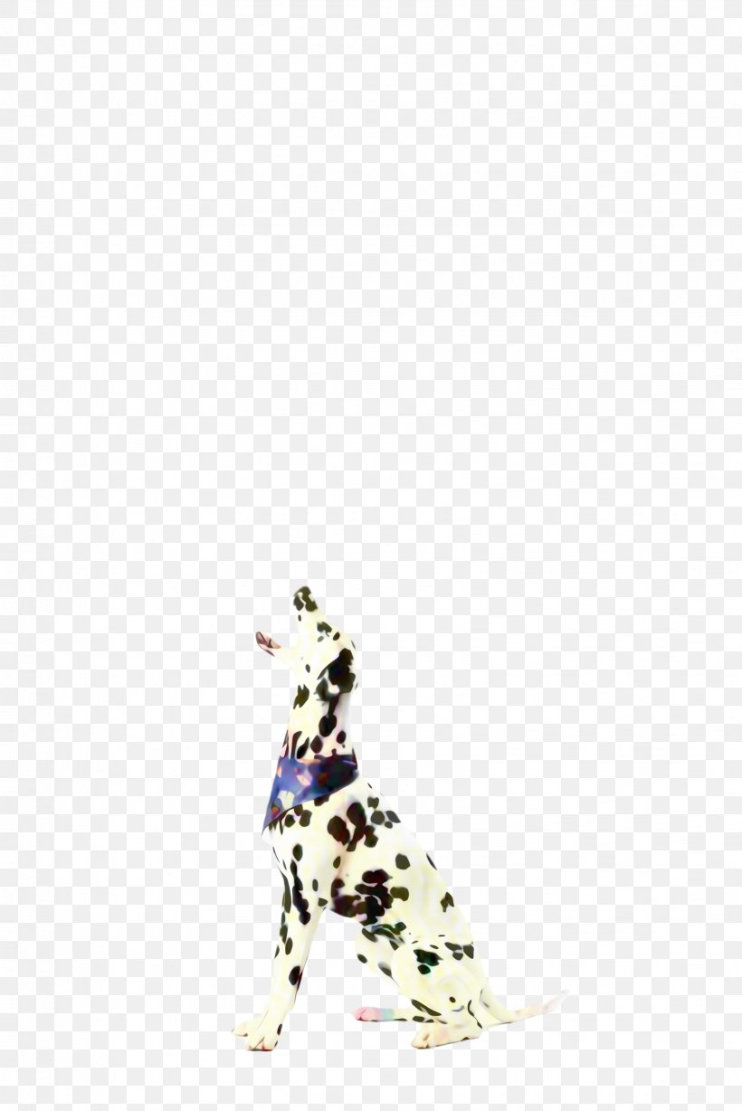 Cute Dog, PNG, 1632x2445px, Cute Dog, Animal, Animal Figure, Breed, Dalmatian Download Free