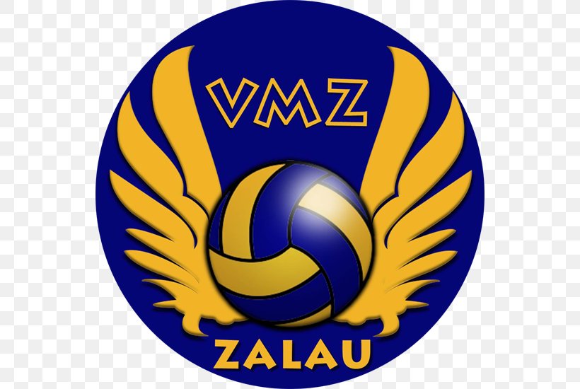 VM Zalău CS Arcada Galați Tricolorul LMV Ploiești Volleyball, PNG, 550x550px, Volleyball, Baia Mare, Ball, Brand, Emblem Download Free