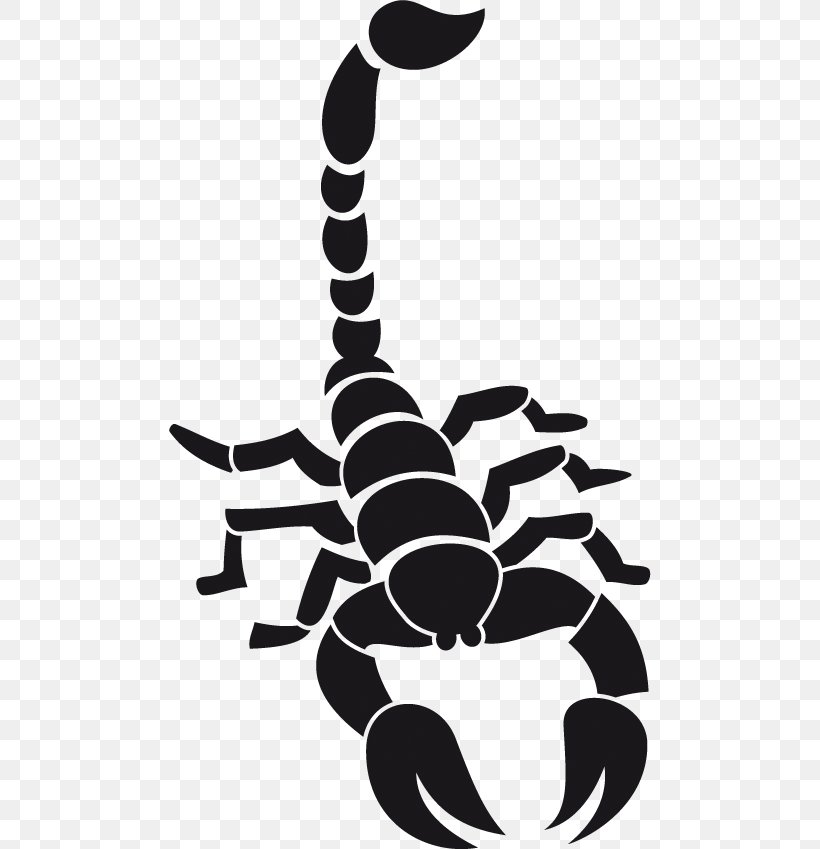 Abziehtattoo Stock Photography Sticker Clip Art, PNG, 482x849px, Tattoo, Abziehtattoo, Airbrush, Arachnid, Arthropod Download Free