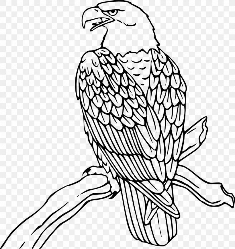 Bald Eagle Coloring Book Drawing Bird, PNG, 944x1000px, Bald Eagle, Adult, Animal, Beak, Bird Download Free