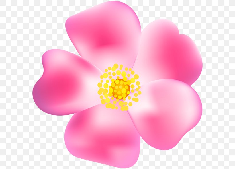 Clip Art, PNG, 600x589px, Rose, Flower, Flowering Plant, Gargamel, Magenta Download Free