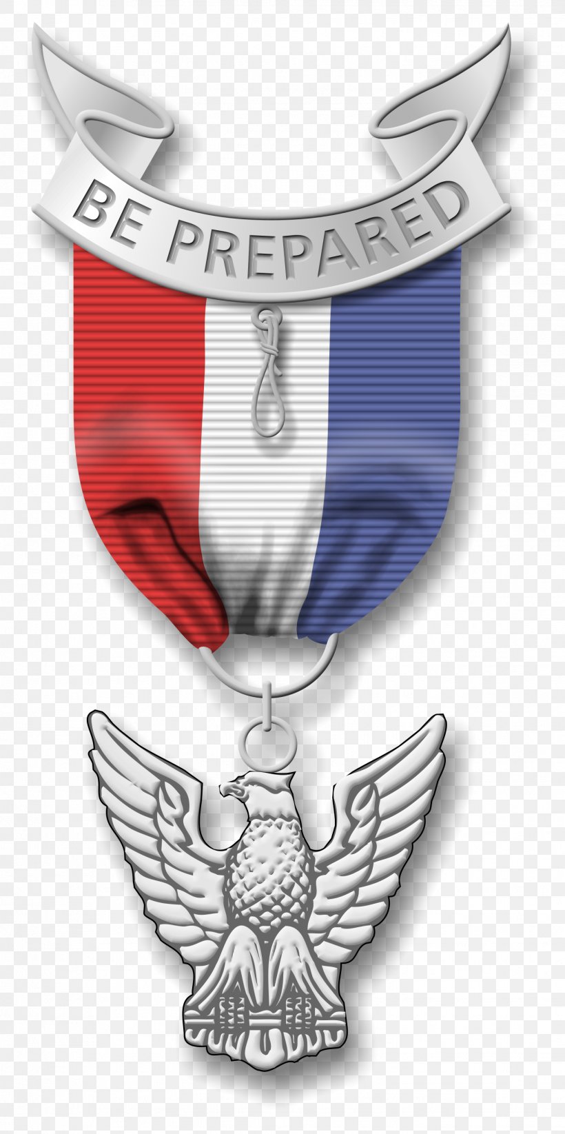 Eagle Scout Boy Scouts Of America Scouting Medal Clip Art, PNG, 1446x2901px, Eagle Scout, Award, Badge, Boy Scouts Of America, Court Of Honor Download Free