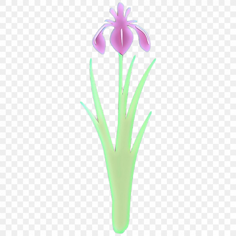 Flower Plant Violet Iris Petal, PNG, 1200x1200px, Flower, Iris, Pedicel, Petal, Plant Download Free
