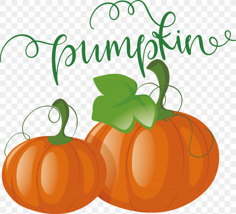 Pumpkin, PNG, 7121x6465px, Pumpkin, Autumn Download Free