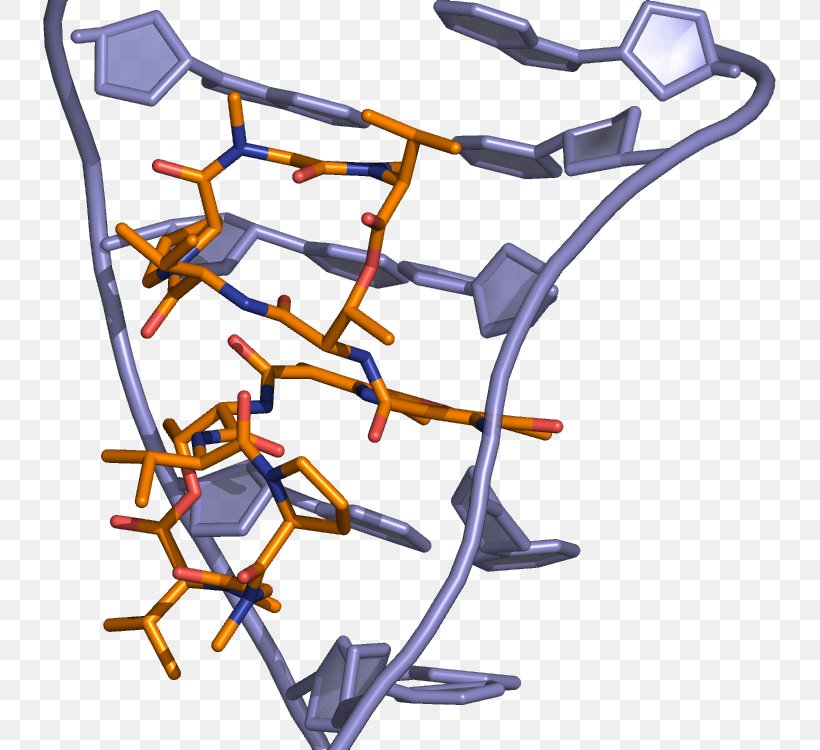 Dactinomycin DNA-binding Domain Intercalation Doxorubicin, PNG, 739x750px, Dactinomycin, Chemotherapy, Cisplatin, Cytarabine, Daunorubicin Download Free
