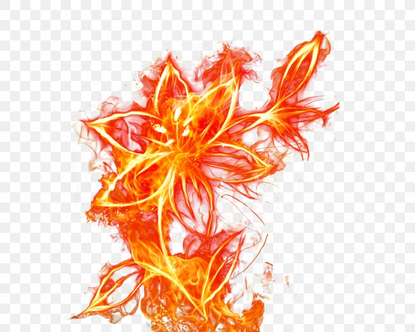 Flame Fire Flower, PNG, 1280x1024px, Flame, Explosion, Fire, Flower, Leaf Download Free