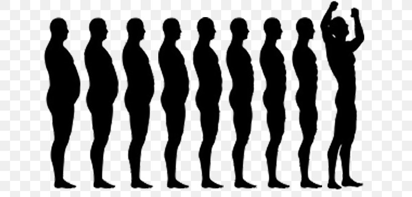 Weight Loss Diet Royalty-free, PNG, 800x392px, Weight Loss, Adipose Tissue, Black And White, Diet, Dieting Download Free
