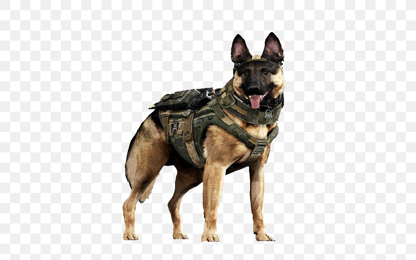 Call Of Duty: Ghosts German Shepherd Malinois Dog Labrador Retriever Call Of Duty: Black Ops III, PNG, 512x512px, Call Of Duty Ghosts, Call Of Duty, Call Of Duty Black Ops Iii, Carnivoran, Dog Download Free
