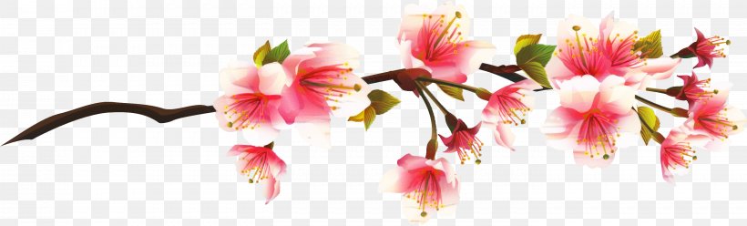 Cherry Blossom Clip Art Image, PNG, 2829x856px, Cherry Blossom, Blossom, Branch, Cherries, Cut Flowers Download Free