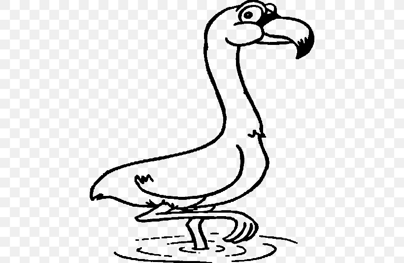 Coloring Book Flamingo Bird Adult Line Art, PNG, 570x533px, Coloring Book, Adult, Beak, Bird, Black And White Download Free