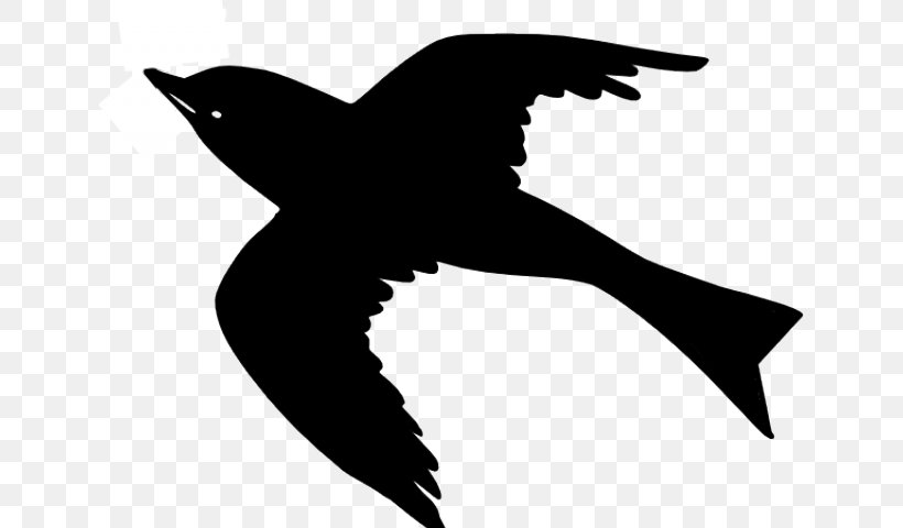 Common Blackbird Flight Crows Silhouette, PNG, 640x480px, Bird, Beak, Bird Flight, Common Blackbird, Crows Download Free
