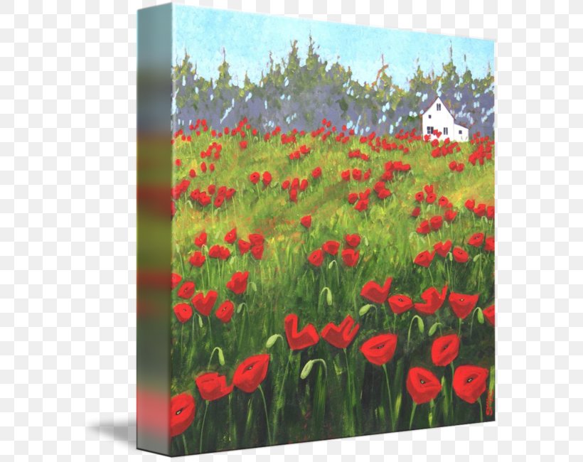 Common Poppy Painting Art Acrylic Paint, PNG, 589x650px, Poppy, Acrylic Paint, Art, Common Poppy, Coquelicot Download Free