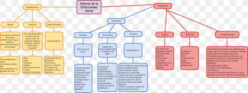 Asthma Concept Map 