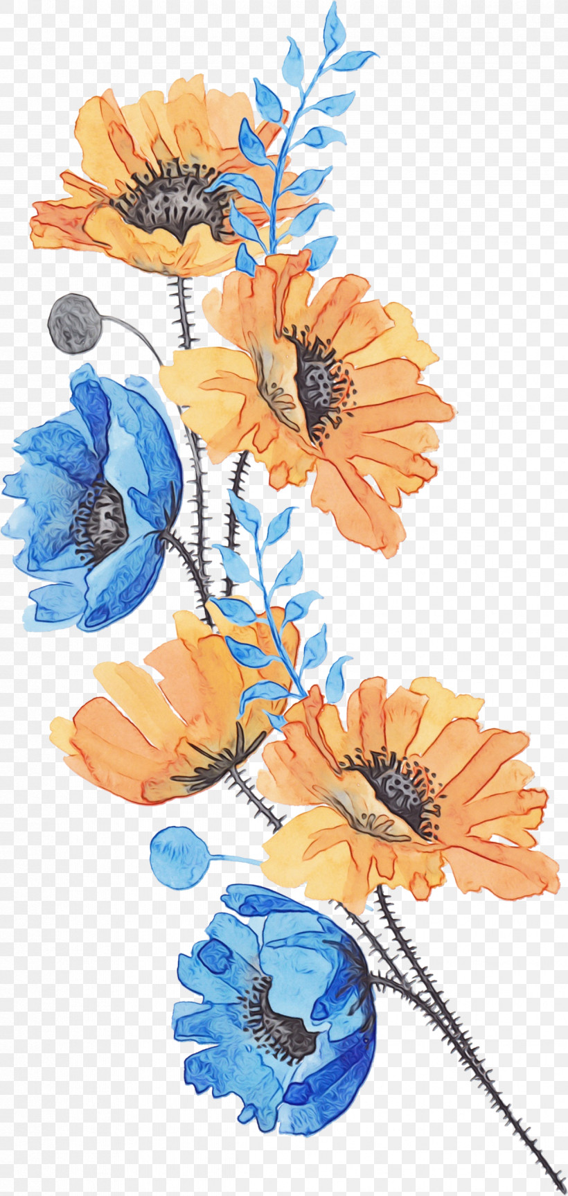 Floral Design, PNG, 1222x2573px, Watercolor, Cut Flowers, Floral Design, Flower, Gerbera Download Free