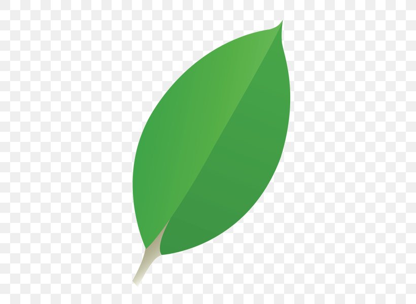 Green Product Design Leaf, PNG, 600x600px, Green, Grass, Leaf, Plant Download Free
