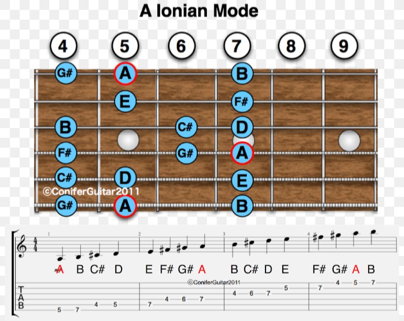 Ionian Mode Major Scale Lydian Mode Major Chord, PNG, 800x652px, Ionian Mode, Area, Bass Guitar, Chord, E Major Download Free