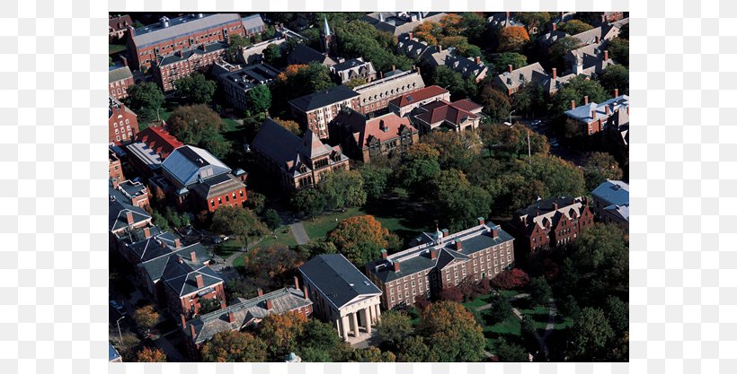 Brown University Ryerson University John Hay Library George Brown College Campus, PNG, 700x417px, Brown University, Alumnus, Campus, City, City Map Download Free