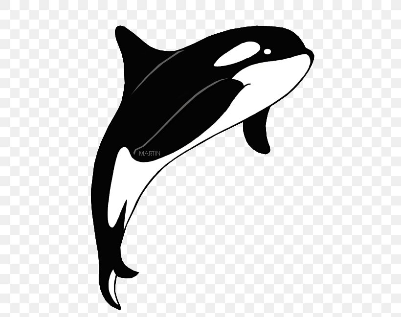 Clip Art Killer Whale The Orca Cetacea Image, PNG, 506x648px, Killer Whale, Animal, Black, Black And White, Cetacea Download Free
