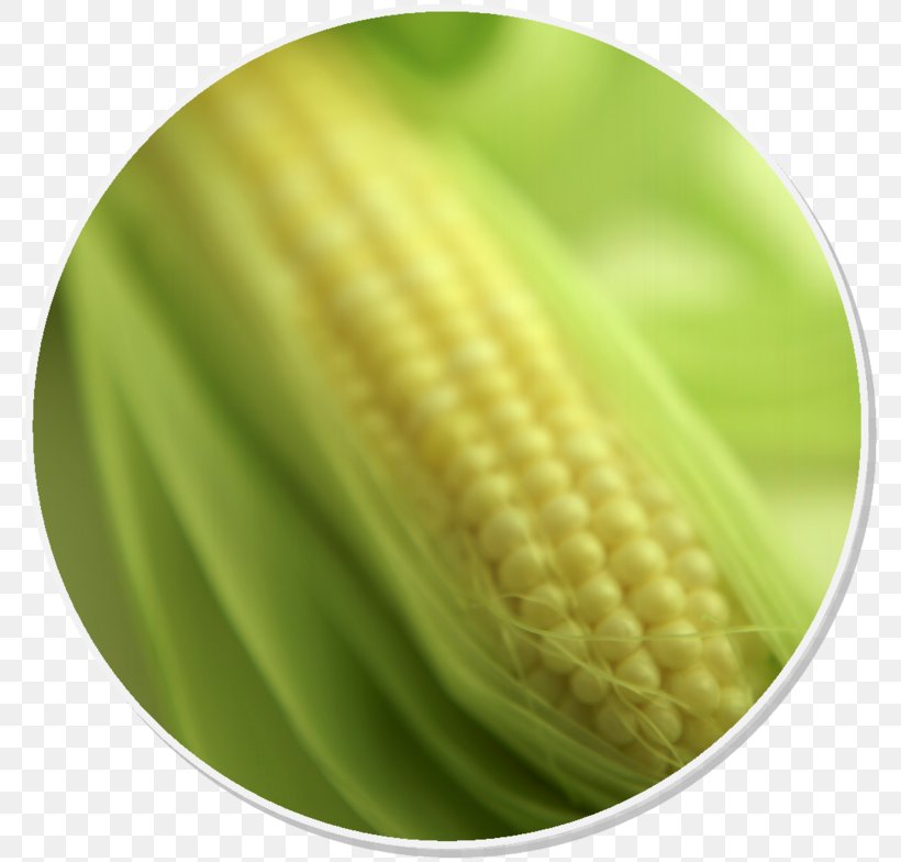 Corn On The Cob Maize Food Corn Syrup Gluten-free Diet, PNG, 782x784px, Corn On The Cob, Commodity, Completo, Cooking, Corn Syrup Download Free