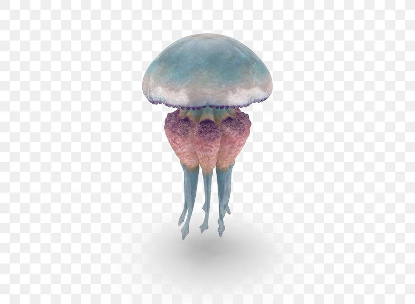 Image Jellyfish Clip Art GIF, PNG, 600x600px, Jellyfish, Art, Arts, Cnidaria, Fungus Download Free