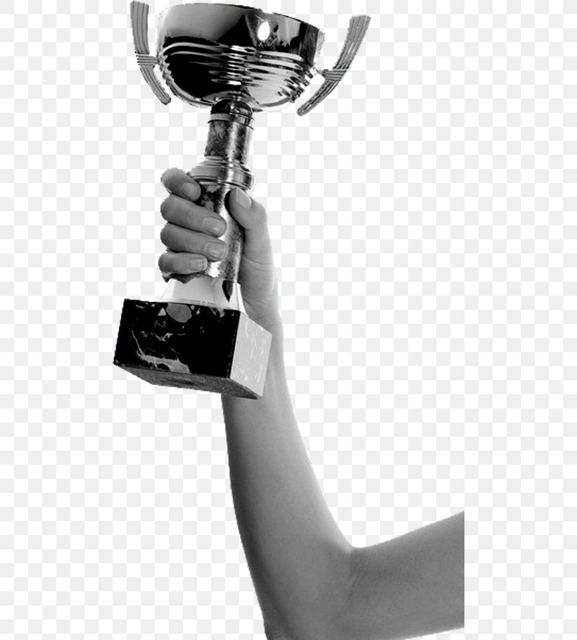 Trophy Metal Medal, PNG, 500x909px, Trophy, Arm, Award, Black And White, Business Download Free