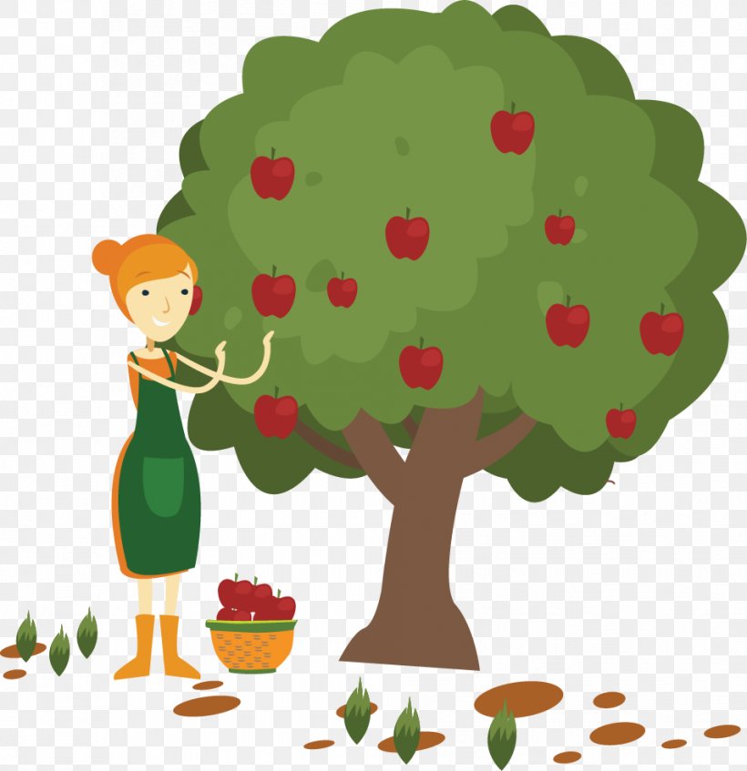 Apple Fruit Picking Clip Art, PNG, 954x986px, Apple, Art, Branch, Cartoon, Floral Design Download Free