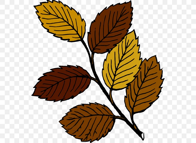 Autumn Leaf Color Clip Art, PNG, 558x600px, Leaf, Autumn, Autumn Leaf Color, Blog, Branch Download Free
