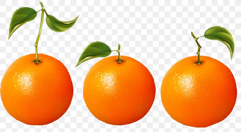 Clementine Orange Juice Blood Orange Mandarin Orange, PNG, 1000x552px, Clementine, Auglis, Bitter Orange, Blood Orange, Calamondin Download Free