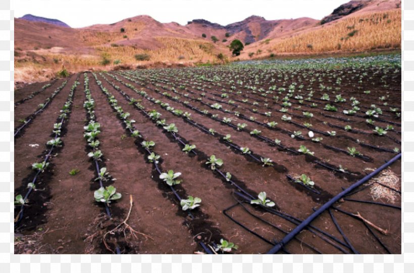 Farm Drip Irrigation Agriculture Garden Watering Systems, PNG, 2847x1875px, Farm, Agriculture, Crop, Drip Irrigation, Fertilisers Download Free