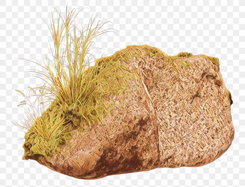 Grass Cartoon, PNG, 1279x975px, Whole Grain, Cereal, Grass, Grasses, Rock Download Free