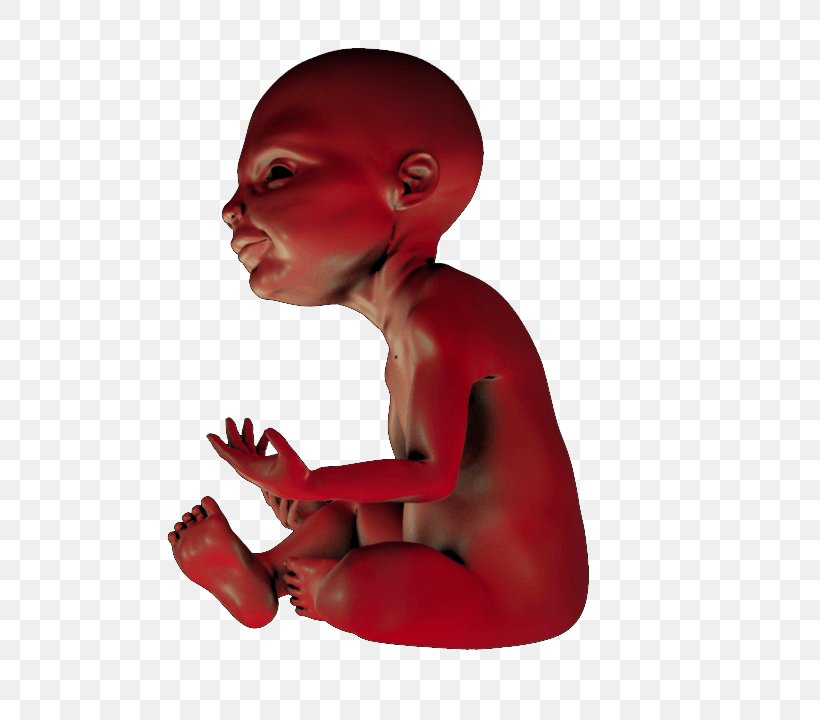 Mouth Jaw Child Joint Muscle, PNG, 720x720px, Mouth, Arm, Child, Figurine, Jaw Download Free
