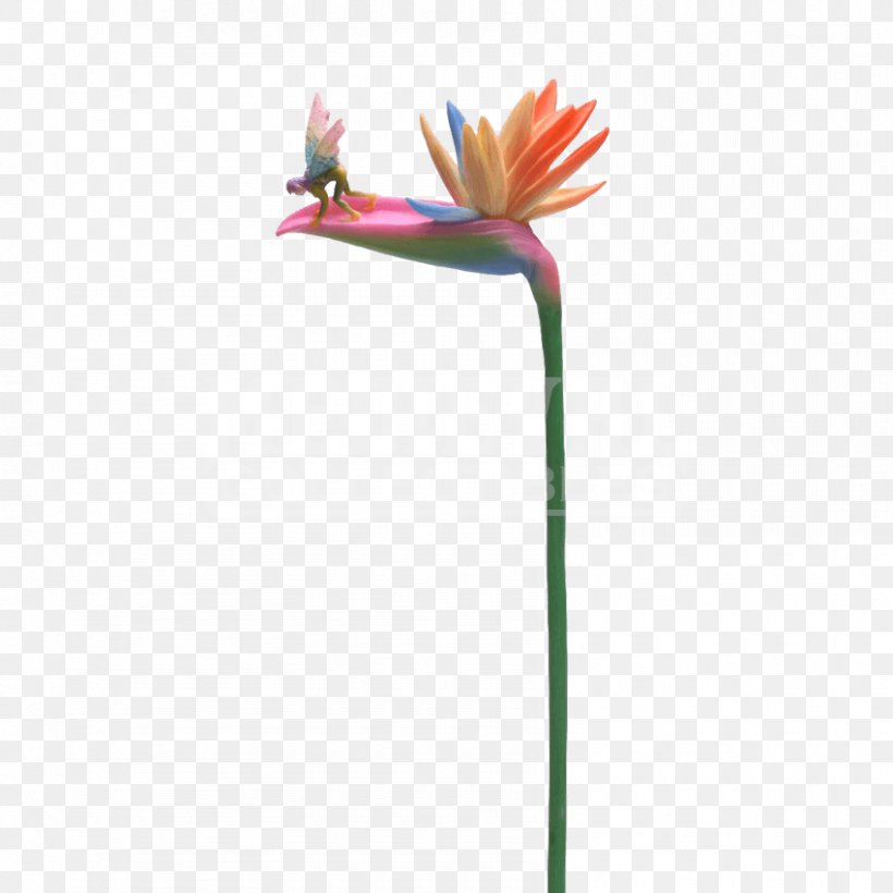 Plant Stem Flower Fairies Fairy Bird, PNG, 850x850px, Plant Stem, Arumlily, Bird, Birdofparadise, Bud Download Free