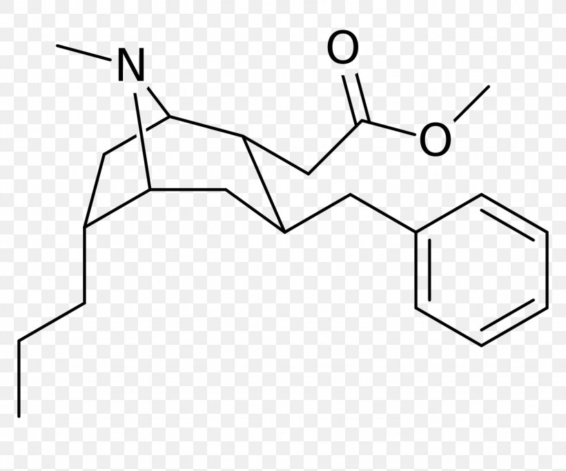 Acid Disodium Pyrophosphate Formate Impurity, PNG, 1229x1024px, Acid, Amino Acid, Area, Benzyl Group, Black And White Download Free
